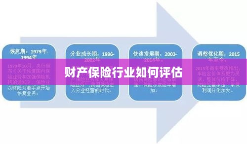 财产保险行业评估方法与策略解析-图1
