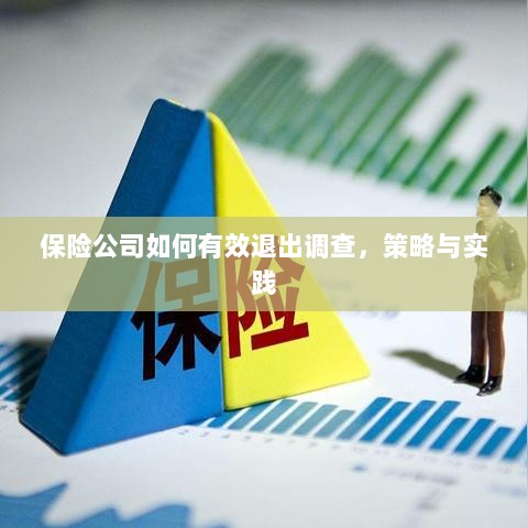 保险公司有效退出调查的策略与实践探讨-图1