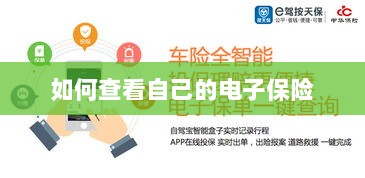 如何查看个人电子保险保单详情-图1 如何查看个人电子保险保单详情-图1
