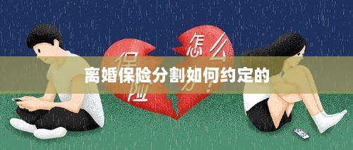 离婚保险分割约定详解-图1