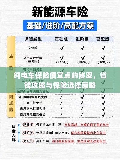 纯电车保险省钱攻略，如何挑选更便宜的保险与保险选择策略-图1