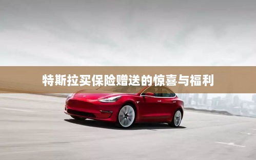 特斯拉保险购买赠品与惊喜福利概述-图1 特斯拉保险购买赠品与惊喜福利概述-图1