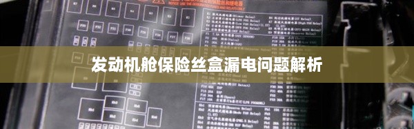 发动机舱保险丝盒漏电问题深度解析-图1
