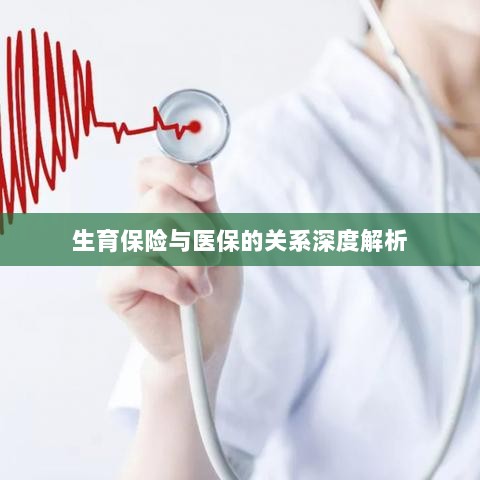 生育保险与医保关系的深度探讨-图1