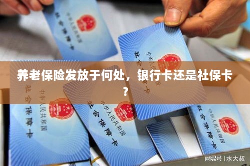 养老保险发放方式解析,银行卡还是社保卡?-图1 养老保险发放方式解析,银行卡还是社保卡?-图1