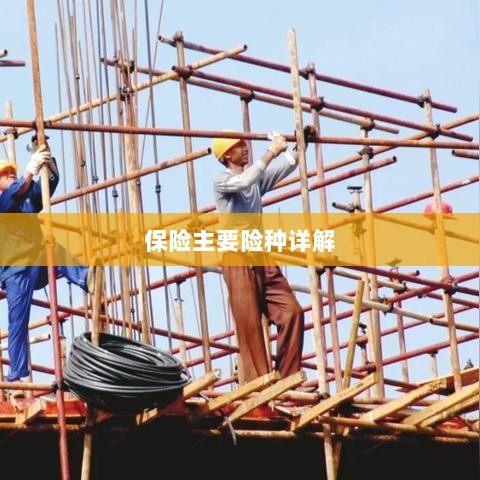 保险主要险种详解概览-图1