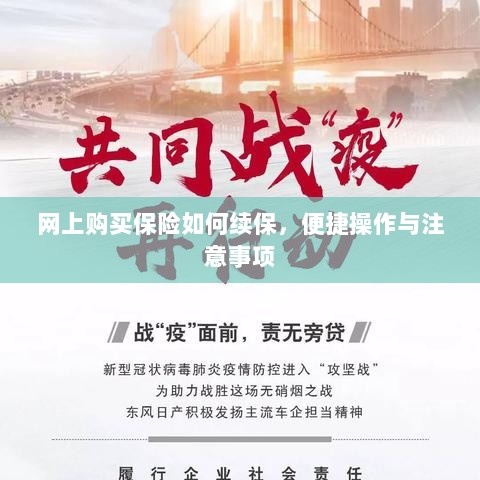 网上保险续保攻略，便捷操作及注意事项-图1