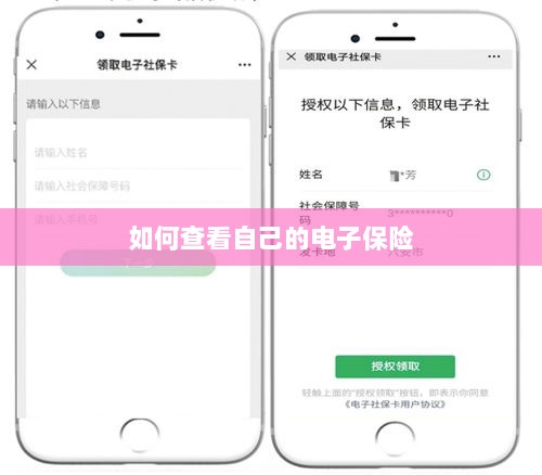 如何查看个人电子保险保单详情-图1