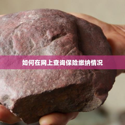 网上查询保险缴纳情况攻略-图1 网上查询保险缴纳情况攻略-图1