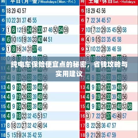 纯电车保险省钱攻略，如何找到更便宜的保险与实用建议-图1