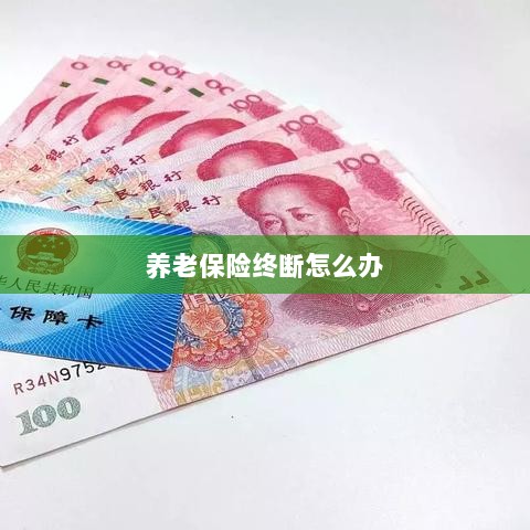 养老保险中断解决方案-图1