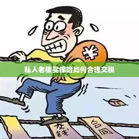 私人老板如何合理购买保险并交税指南-图1 私人老板如何合理购买保险并交税指南-图1