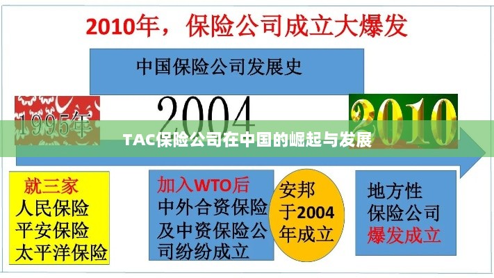 TAC保险公司在中国的崛起与蓬勃发展之路-图1