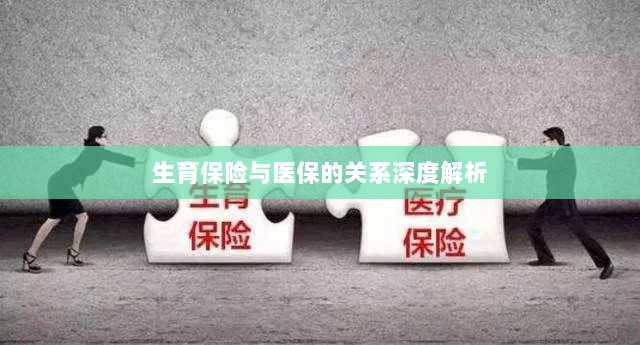生育保险与医保关系的深度探讨-图1 生育保险与医保关系的深度探讨-图1