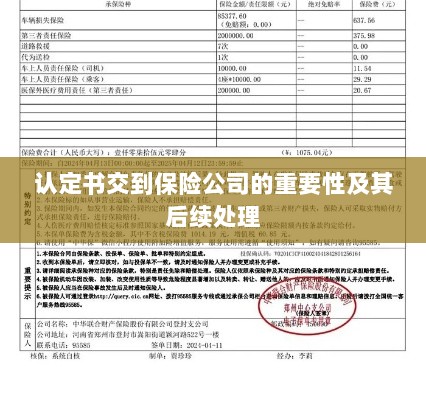 认定书交到保险公司的重要性及后续处理流程详解-图1