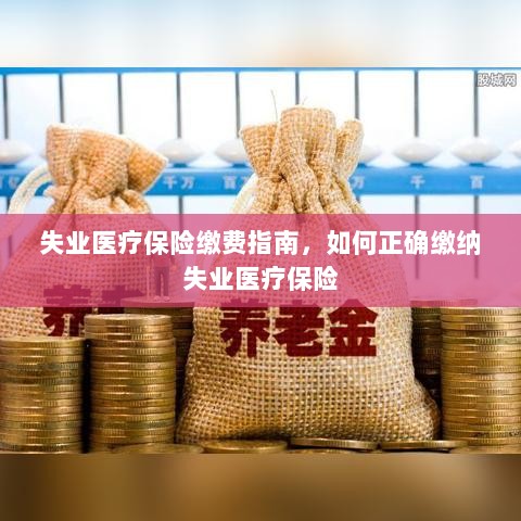 失业医疗保险缴费详解，正确缴纳失业医疗保险的步骤与指南-图1