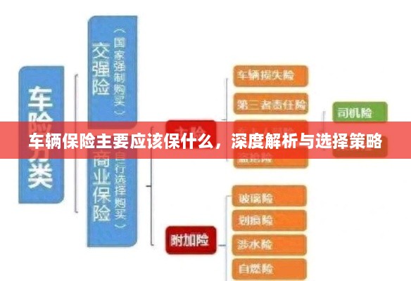 深度解析,车辆保险应该保什么及选择策略-图1 深度解析,车辆保险应该保什么及选择策略-图1