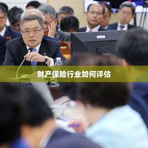 财产保险行业评估方法与策略解析-图1 财产保险行业评估方法与策略解析-图1