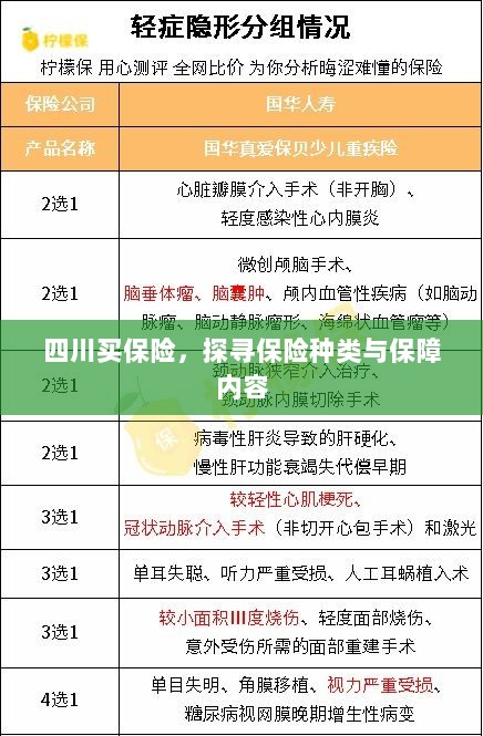 四川保险探秘,种类与保障内容全解析-图1 四川保险探秘,种类与保障内容全解析-图1