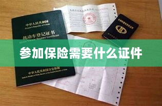 参加保险所需证件概览-图1