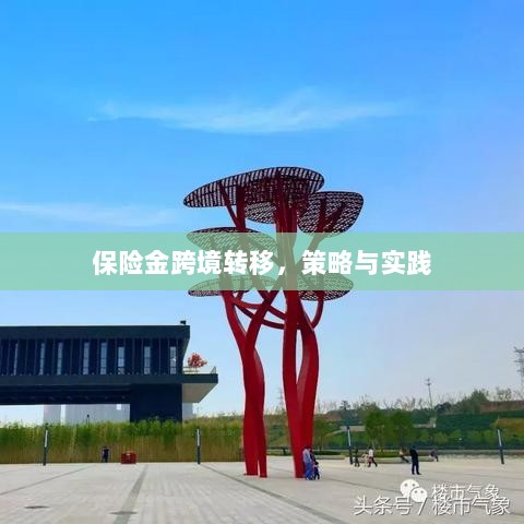 保险金跨境转移的策略与实践探讨-图1