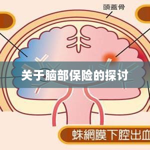 脑部保险，深度探讨与解析-图1