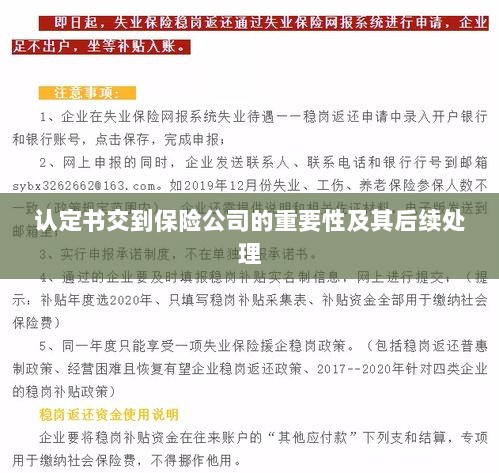 认定书交到保险公司的重要性及后续处理流程详解-图1