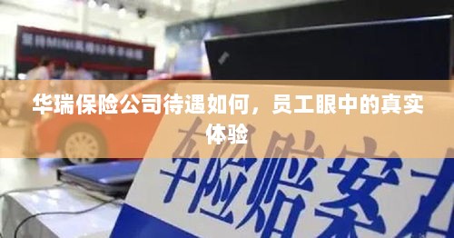 华瑞保险公司员工待遇真实体验分享-图1
