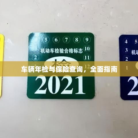 车辆年检与保险查询，全面指南解析-图1