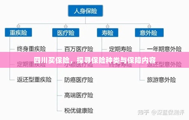 四川保险探秘，种类与保障内容全解析-图1