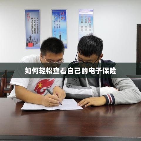 轻松查看个人电子保险指南-图1