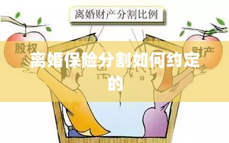 离婚保险分割约定详解-图1 离婚保险分割约定详解-图1