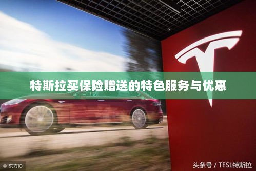 特斯拉保险特惠,买保险即享特色服务与优惠大礼包-图1 特斯拉保险特惠,买保险即享特色服务与优惠大礼包-图1