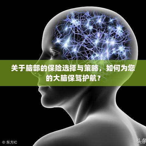 如何选择合适的脑部保险,为您的大脑保驾护航?-图1 如何选择合适的脑部保险,为您的大脑保驾护航?-图1