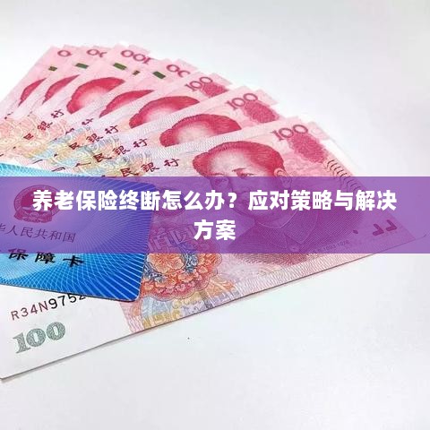 养老保险中断应对指南，解决方案与策略探讨-图1