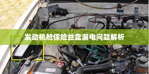 发动机舱保险丝盒漏电问题深度解析-图1