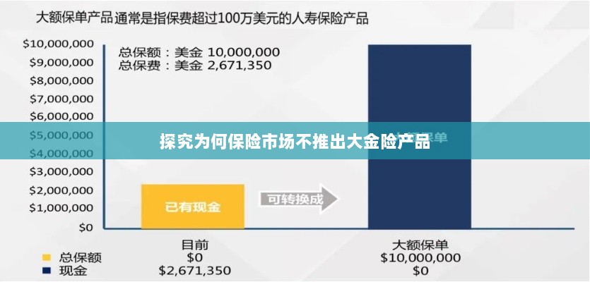 保险市场为何不推出大金险产品探究-图1 保险市场为何不推出大金险产品探究-图1