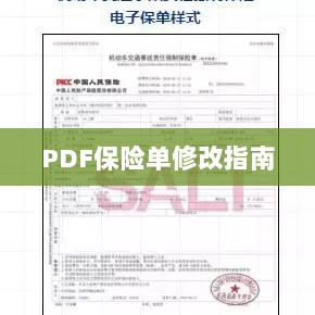 PDF保险单修改指南详解-图1 PDF保险单修改指南详解-图1