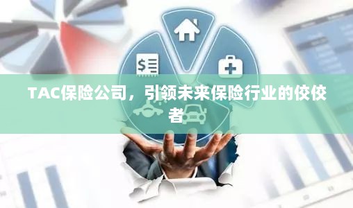 TAC保险公司,引领保险行业未来,成为佼佼者之首-图1 TAC保险公司,引领保险行业未来,成为佼佼者之首-图1