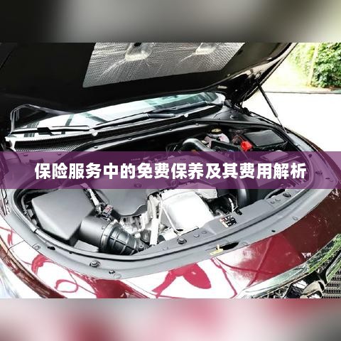 保险服务中的免费保养费用解析与指南-图1 保险服务中的免费保养费用解析与指南-图1