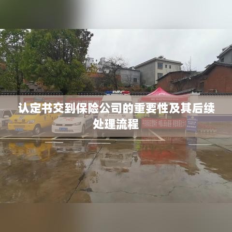 认定书对保险公司的重要性及后续处理流程详解-图1 认定书对保险公司的重要性及后续处理流程详解-图1