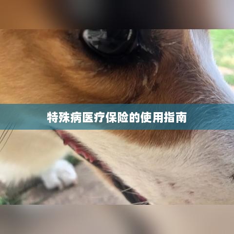 特殊病医疗保险使用指南详解-图1 特殊病医疗保险使用指南详解-图1