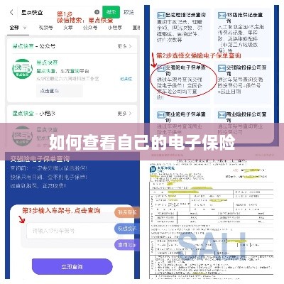 如何查看个人电子保险保单详情-图1 如何查看个人电子保险保单详情-图1