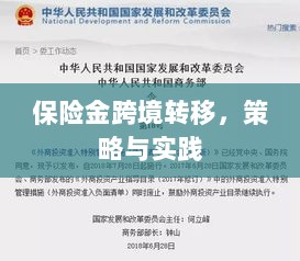 保险金跨境转移的策略与实践探讨-图1