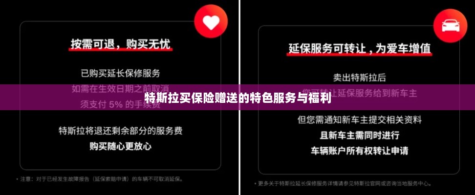 特斯拉保险特惠,独家特色服务与丰厚赠品等你来享-图1 特斯拉保险特惠,独家特色服务与丰厚赠品等你来享-图1