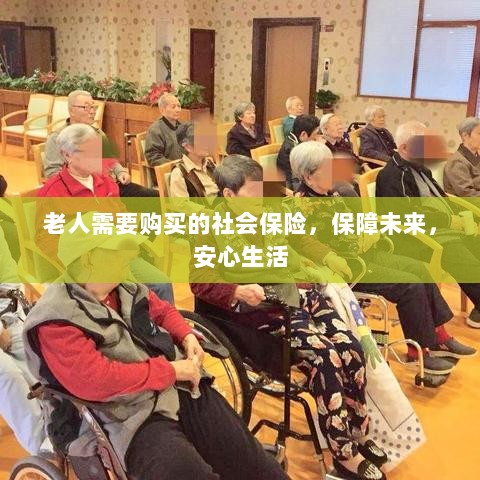 老人社会保险,保障未来,安心生活-图1 老人社会保险,保障未来,安心生活-图1