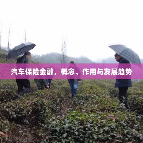 汽车保险金融,概念、功能及未来发展趋势-图1 汽车保险金融,概念、功能及未来发展趋势-图1