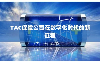 TAC保险公司在数字化时代的新征程启航-图1