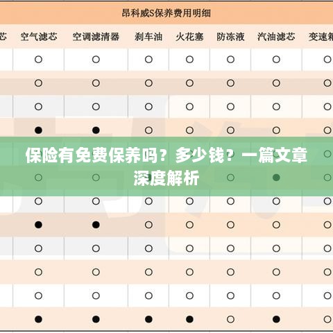 保险免费保养揭秘，费用及深度解析-图1