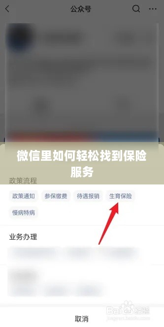 微信内轻松获取保险服务指南-图1